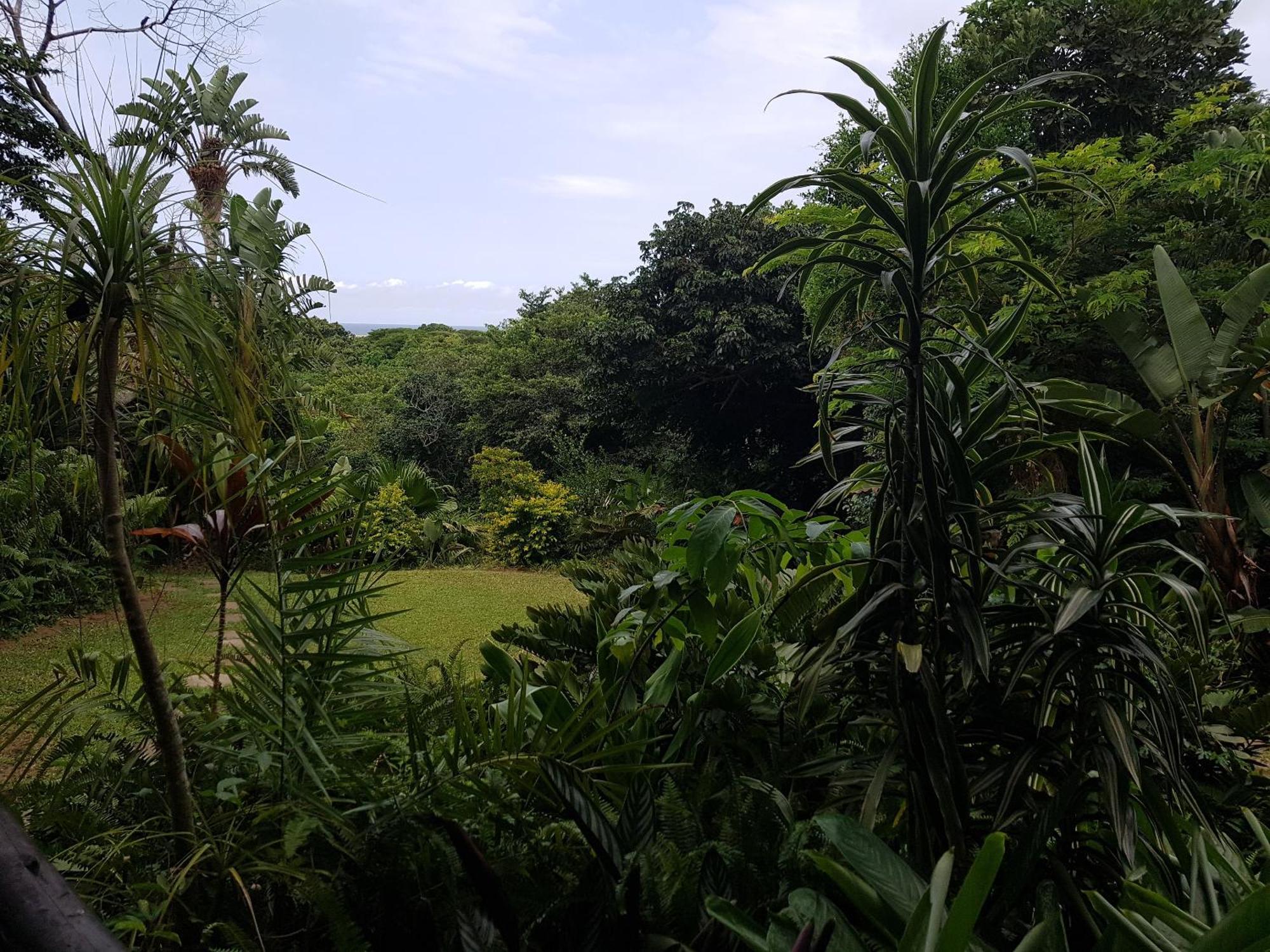 Ndiza Lodge And Cabanas Saint Lucia Estuary Esterno foto